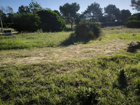 Avenida 4 4780