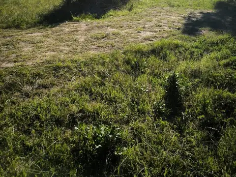 Terreno en Venta de 889,0 m2