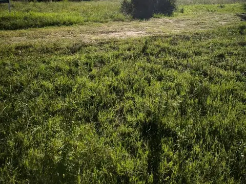 Terreno en Venta, FOT 1,2