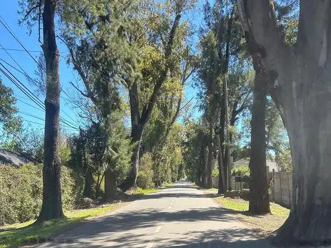 Terreno en Venta de 300,0 m2