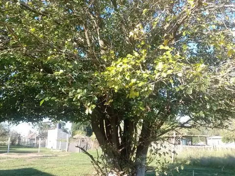 Terreno en Venta de 525,0 m2