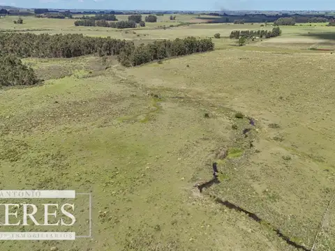 Venta de campo 14 ha en Partido Norte, Maldonado