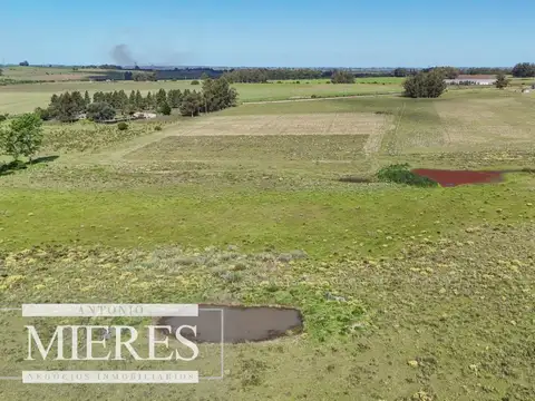 Venta de campo 14 ha en Partido Norte, Maldonado