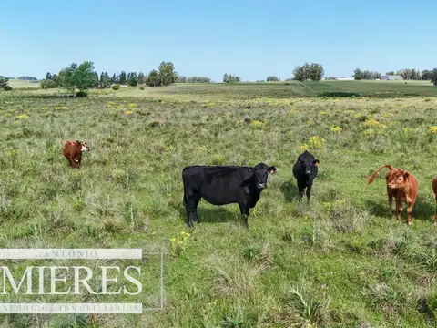 Venta de campo 14 ha en Partido Norte, Maldonado