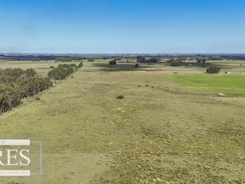 Venta de campo 14 ha en Partido Norte, Maldonado