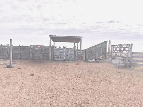 Campo 1.500 hectáreas  Ganadero LOGROÑO SANTA FE