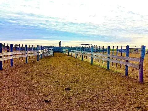 Campo 1.500 hectáreas  Ganadero LOGROÑO SANTA FE