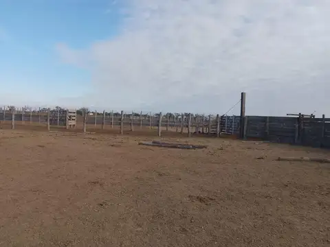 Campo 1.500 hectáreas  Ganadero LOGROÑO SANTA FE