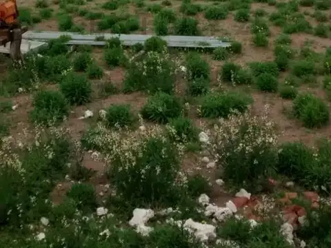 Intersección de las Rutas provinciales 26 y 19. , Piso 0