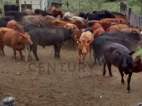 Intersección de las Rutas provinciales 26 y 19. , Piso 0