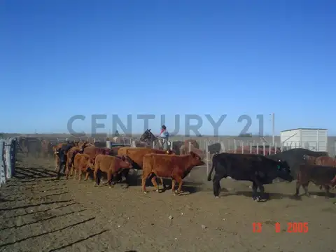 Oficina en Venta en Cordoba, USD 850.000