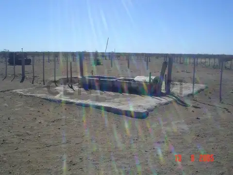 CAMPO GANADERO LA PAMPA