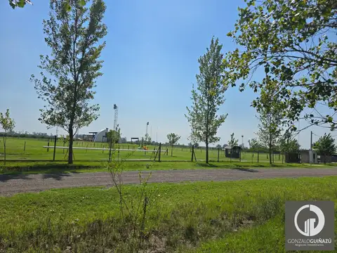 Terreno en Venta 50  mts Frente