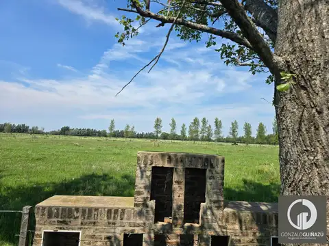 Barrio nuevo Alberdi- Fincas de Rosario