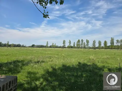Terreno en VENTA Barrio Nuevo Alberdi - Finca de Rosario