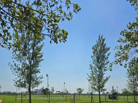 Terreno en Venta 52  mts Fondo