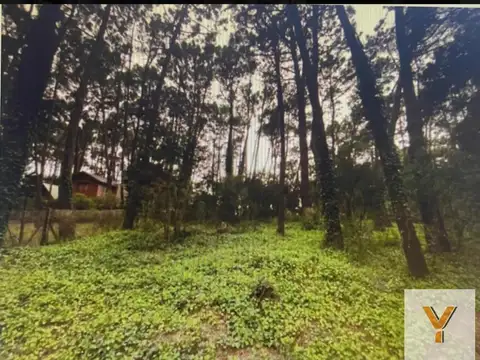 Terreno en Venta de 275,0 m2