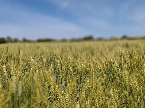 VENTA LOTE 11 DE SEPTIEMBRE MZ 1 L 3