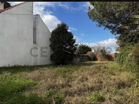 496 entre 26 Y 27 , Piso 0