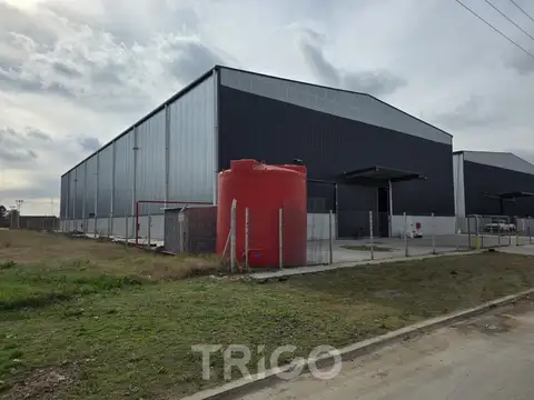 Polo industrial Spegazzini