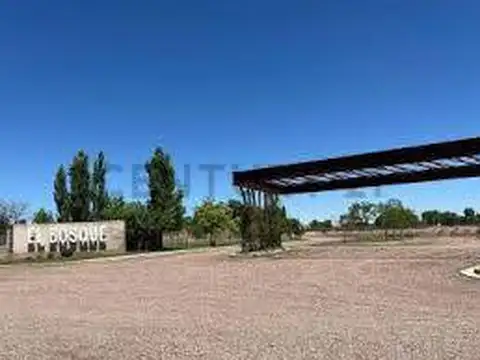 Lote en Venta B° El Bosque II-Rodeo del Medio-ID:253279