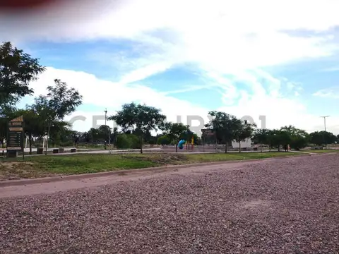 Terreno en Venta 10  mts Frente