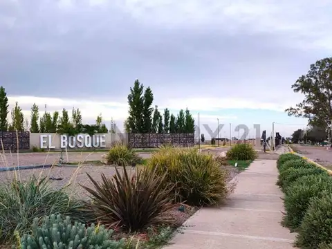 Terreno en Venta en Rodeo del Medio, USD 10.500
