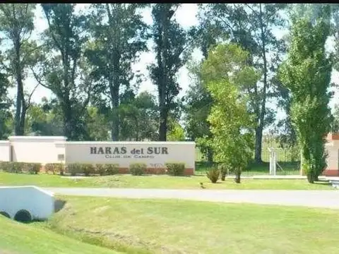 Haras del Sur I