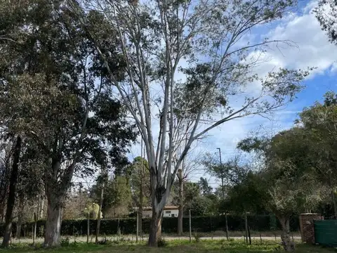 La Reserva - Benavidez