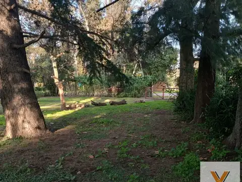 Terreno en venta - 390Mts2 - Paso del Rey