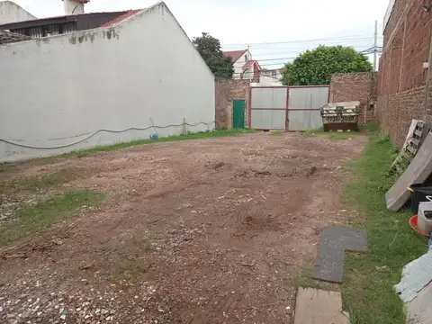Primera Junta 5139