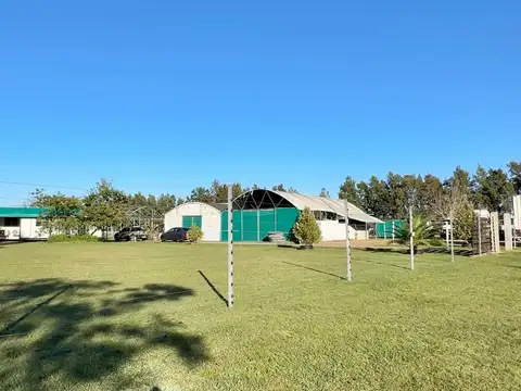 Chacra de 9 hectareas a pasos de Ruta 90.