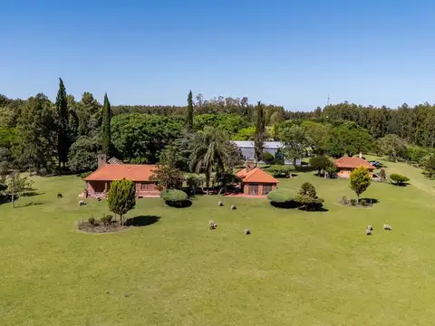 VENTA CAMPO 60H CASCO  Y GALPONES EN FRAY BENTOS  