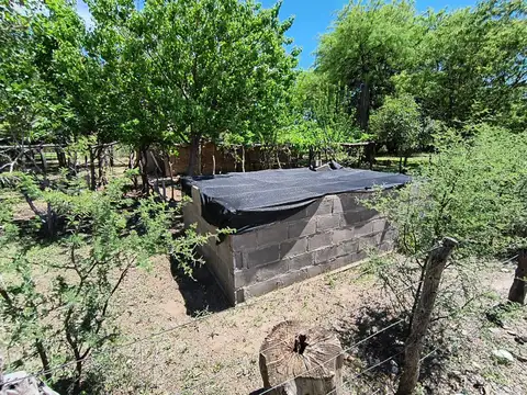 Campo 32,6 Has con 420 mts de frente sobre ruta asfaltada