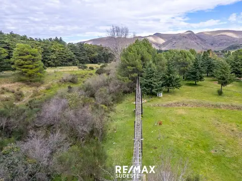 Belisario y Gorrión 100