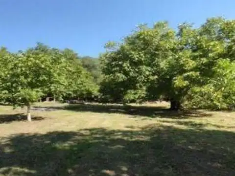 Quinta en Venta en Londres, USD 75.000