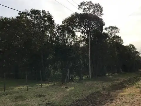 Terreno en Venta 50  mts Frente