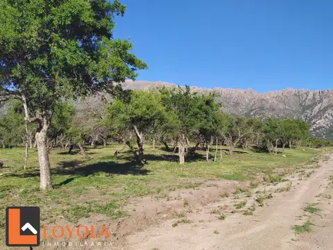  Lotes de 880 metros Cortaderas San Luis