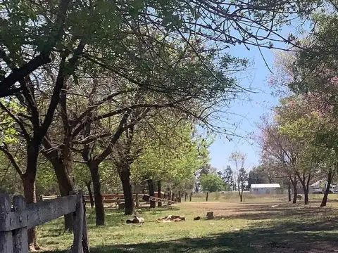 Terreno en Venta en Las Rosas, USD 220.000