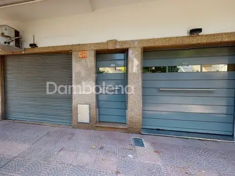 Timoteo Gordillo 500