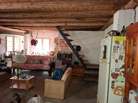Colibries