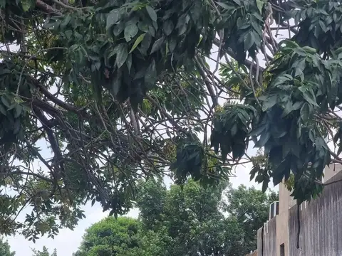 Terreno en Venta en Santa Fe, USD 37.000