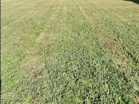 terreno en barrio privado barrancas de san benito 
