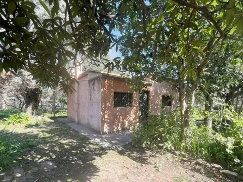 Las Retamas 255