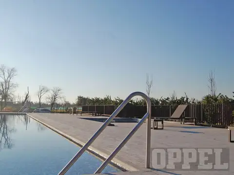 LOS CARDOS  (   33547 )