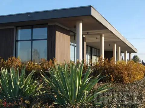 LOS CARDOS  (   33547 )