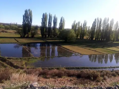 Ruta Provincial Nº 12 , Piso 0