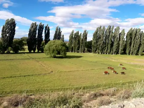 CHACRA CON POTENCIAL TURÍSTICO EN GUALJAINA, CHUBUT