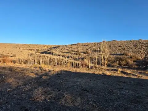 Ruta Provincial Nº 12 , Piso 0