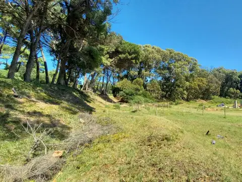 Terreno en  Miramar